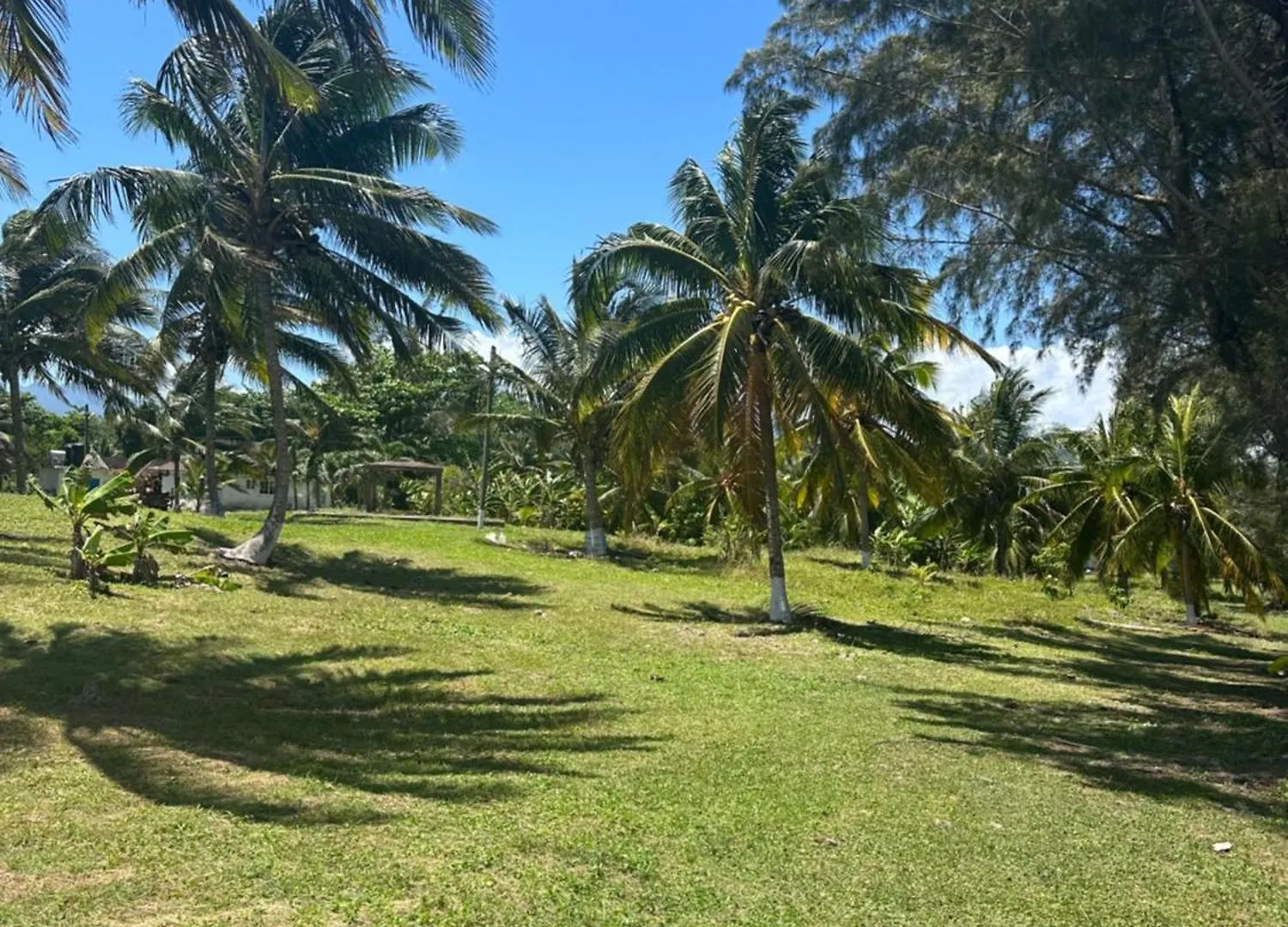 Breeze Retreat Apartment Port Antonio Jamaica
